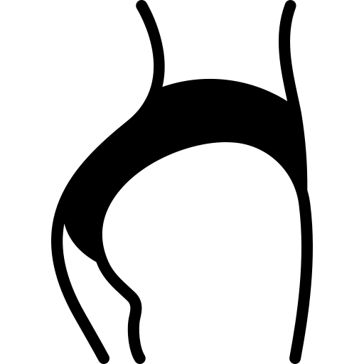 Fit icon